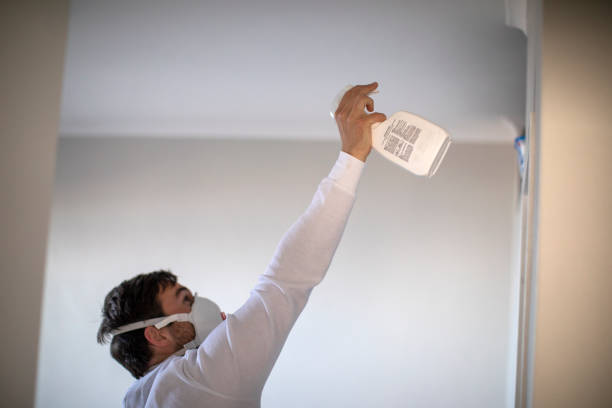 Best Post-Remediation Services in De Graff, OH