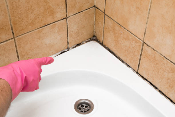 Best Mold Testing and Inspection Services in De Graff, OH